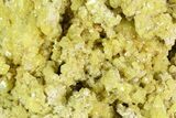 Sulfur Crystal Cluster on Matrix - Nevada #129748-1